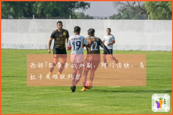 西部7队争夺战加剧，阿门伤缺，乌杜卡或难敌科尔