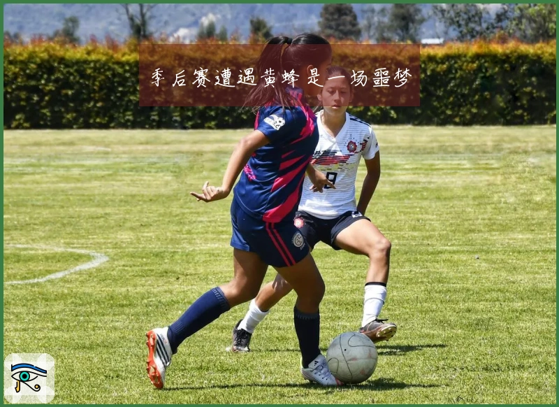 季后赛遭遇黄蜂是一场噩梦